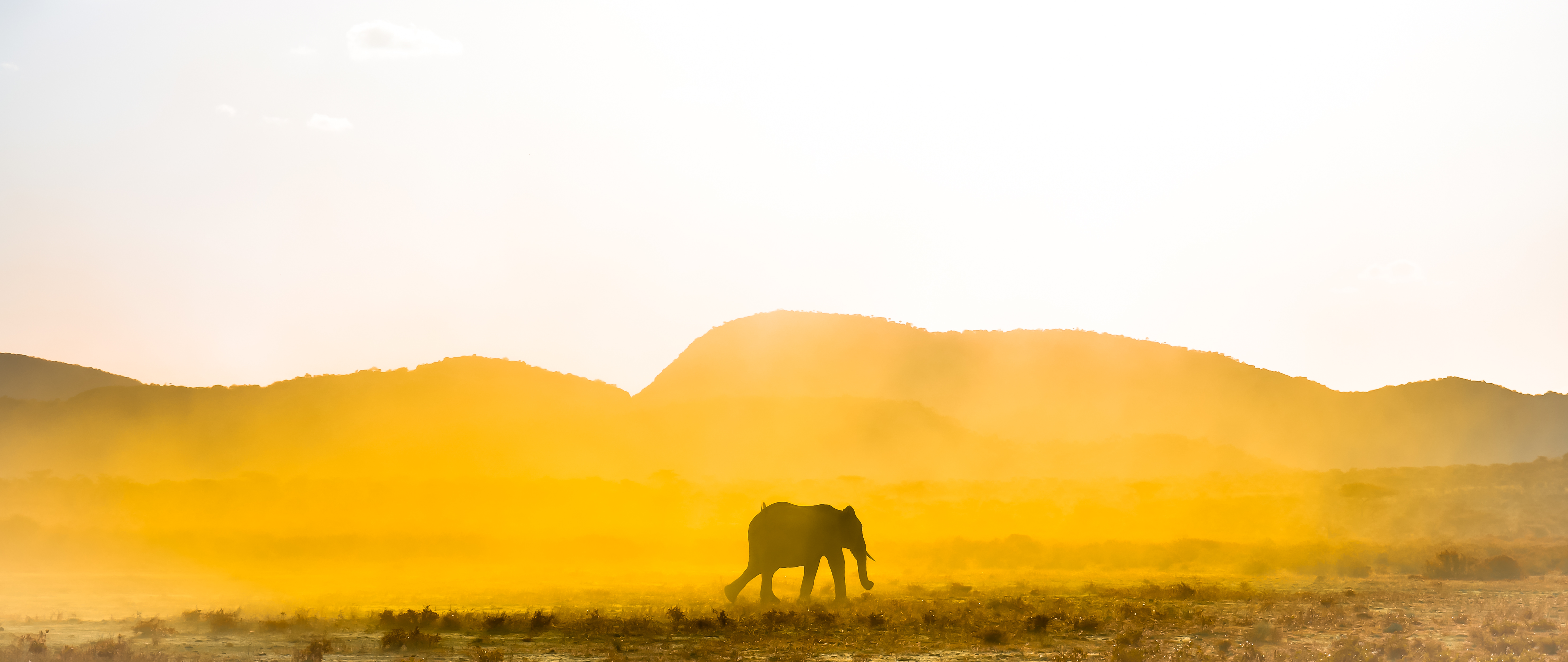 Samburu Visuals